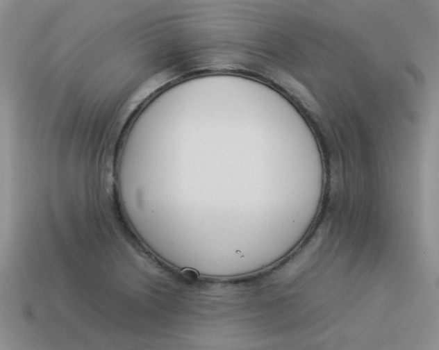 X0000113891226200910151327