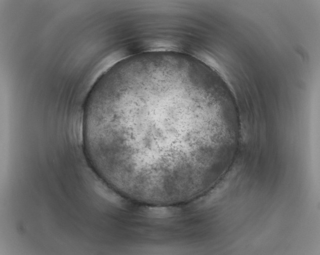 X0000113891227200910151327