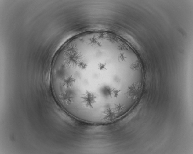 X0000113891228200910151327