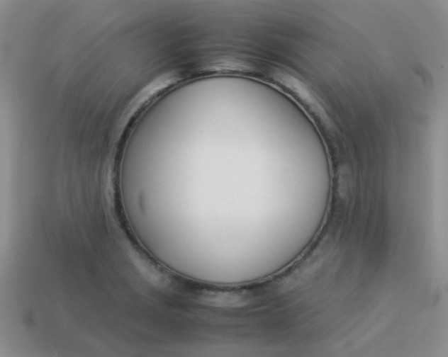 X0000113891229200910151327