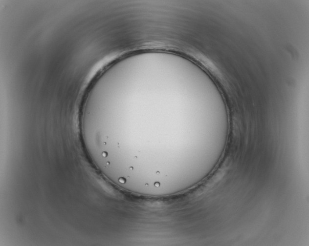 X0000113891230200910151327