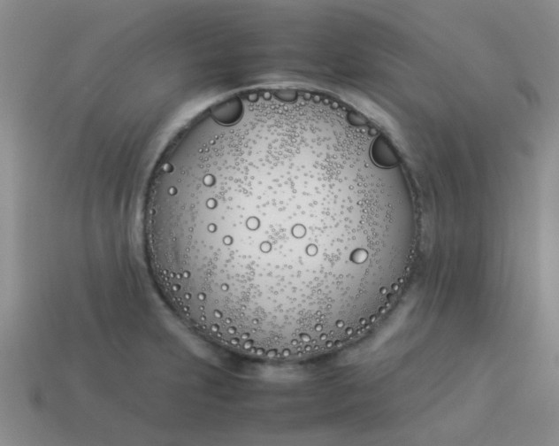 X0000113891231200910151327