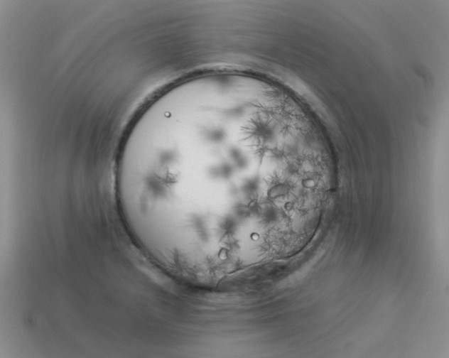 X0000113891232200910151327