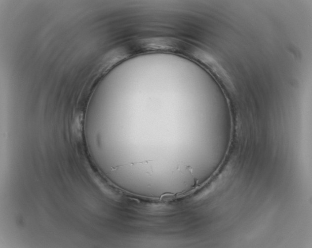 X0000113891233200910151327