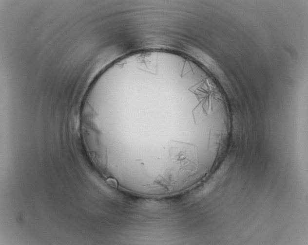 X0000113891234200910151327