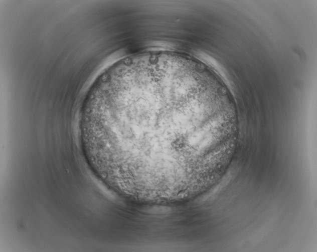 X0000113891235200910151327