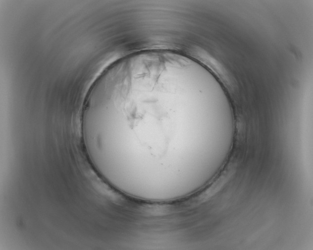 X0000113891236200910151327