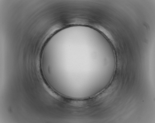 X0000113891237200910151327