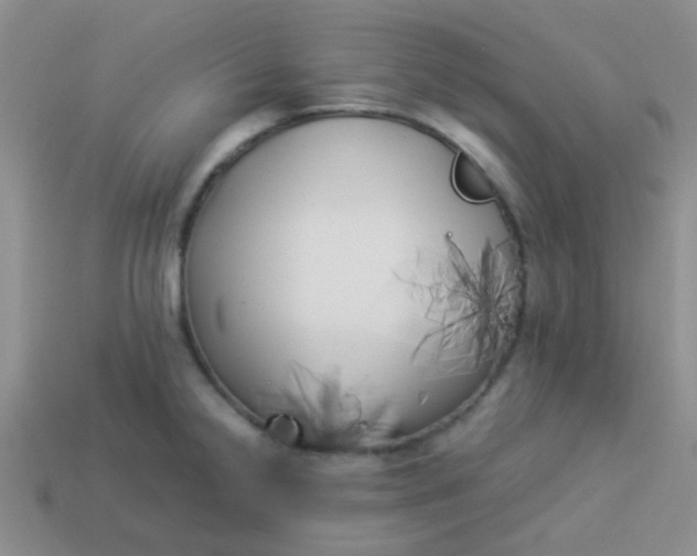 X0000113891238200910151327