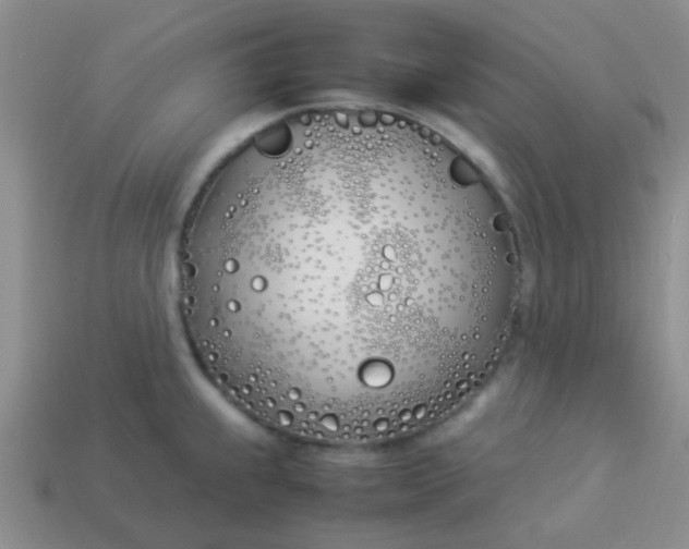 X0000113891239200910151327