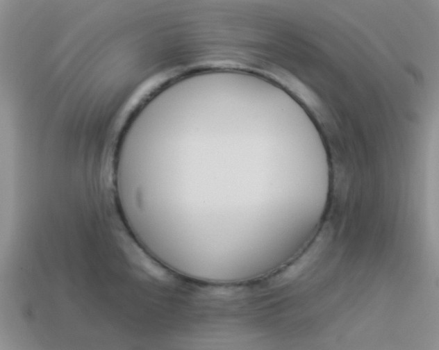 X0000113891240200910151327