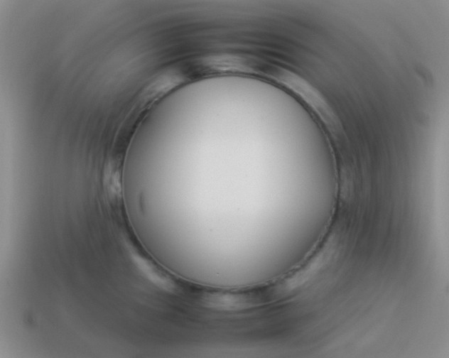 X0000113891241200910151327