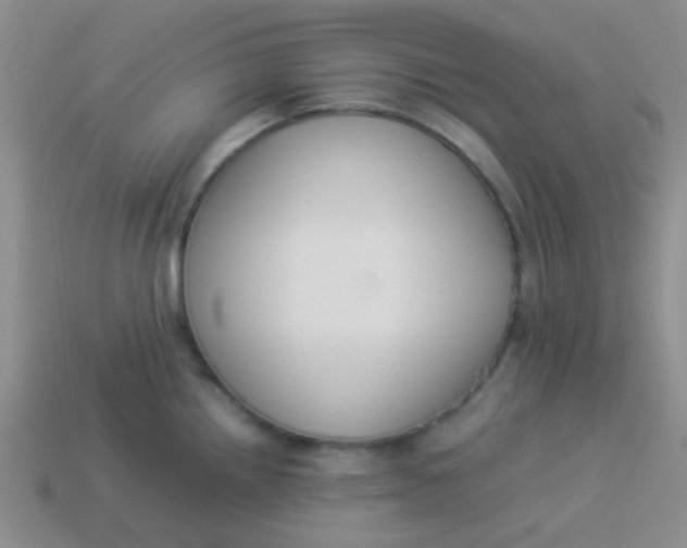 X0000113891242200910151327