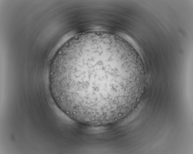 X0000113891243200910151327