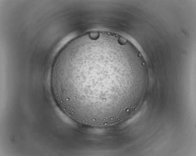 X0000113891245200910151327