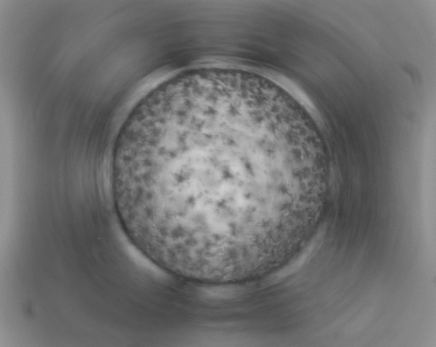 X0000113891247200910151327