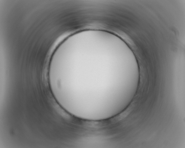 X0000113891248200910151327