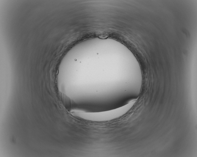 X0000113891249200910151327