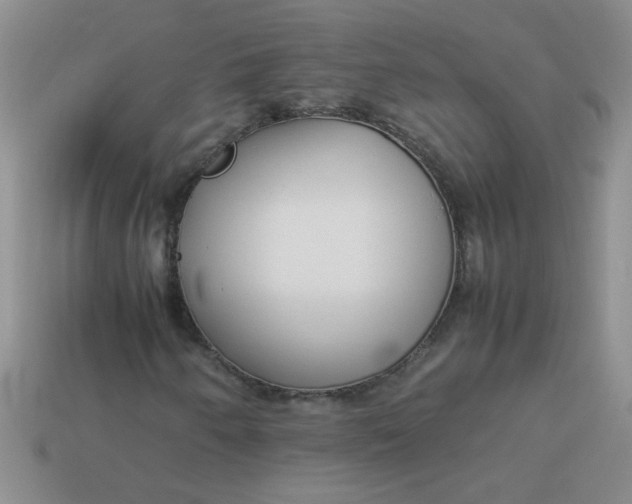 X0000113891250200910151327