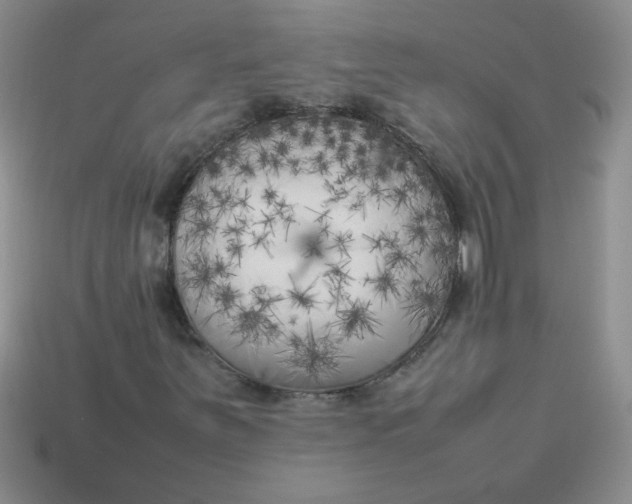 X0000113891251200910151327