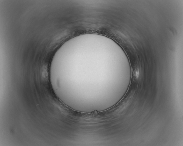 X0000113891252200910151327