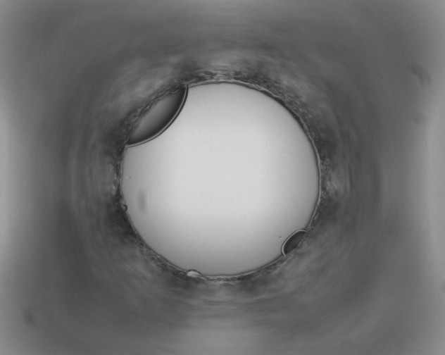 X0000113891253200910151327