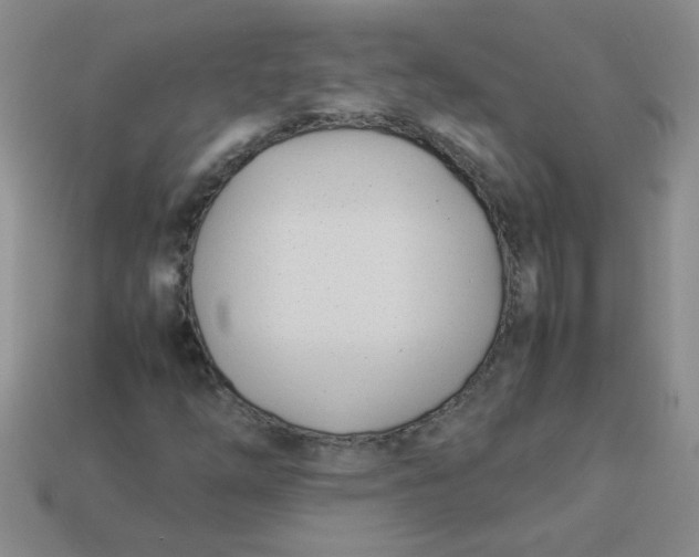 X0000113891254200910151327