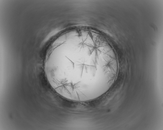 X0000113891255200910151327