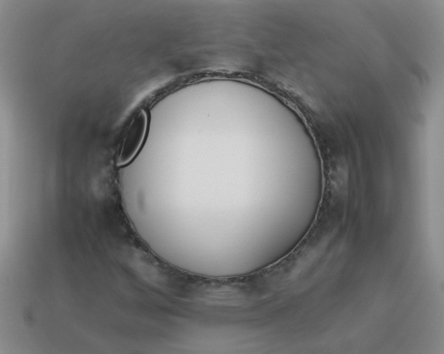 X0000113891256200910151327