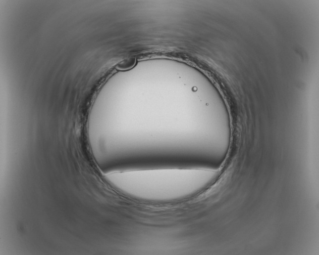 X0000113891257200910151327