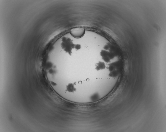 X0000113891258200910151327