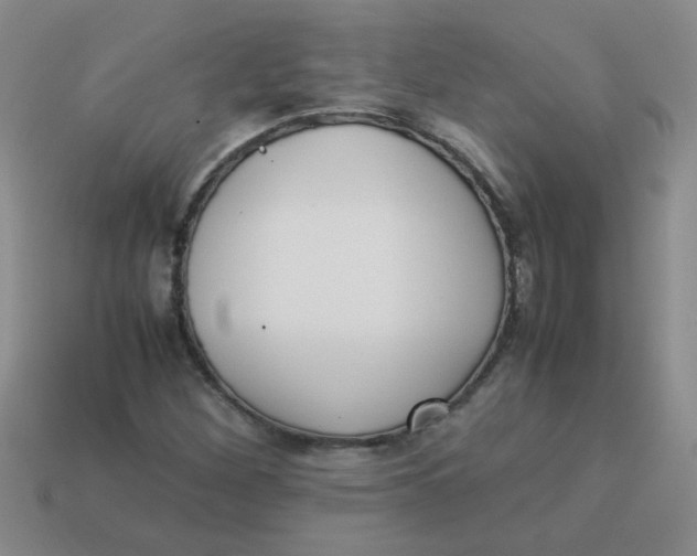 X0000113891260200910151327