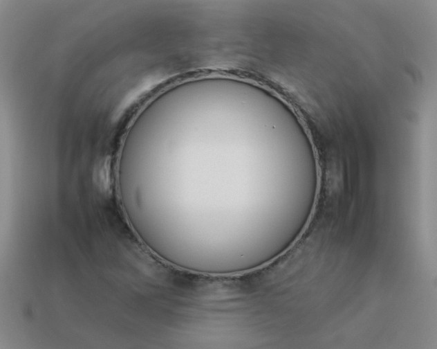 X0000113891262200910151327