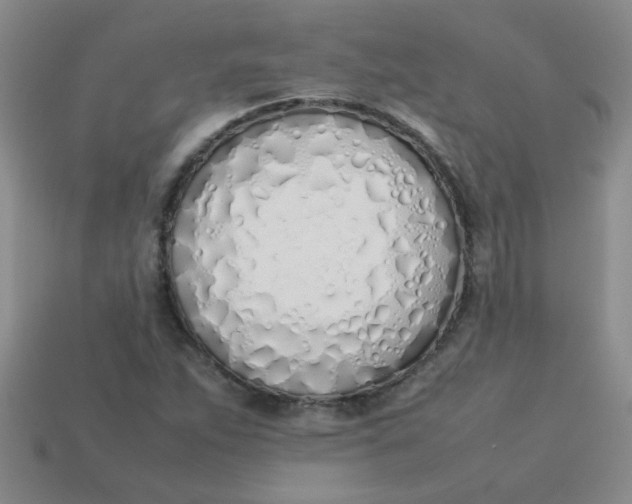 X0000113891263200910151327