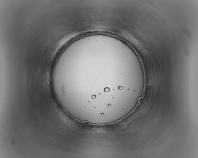 X0000113891264200910151327