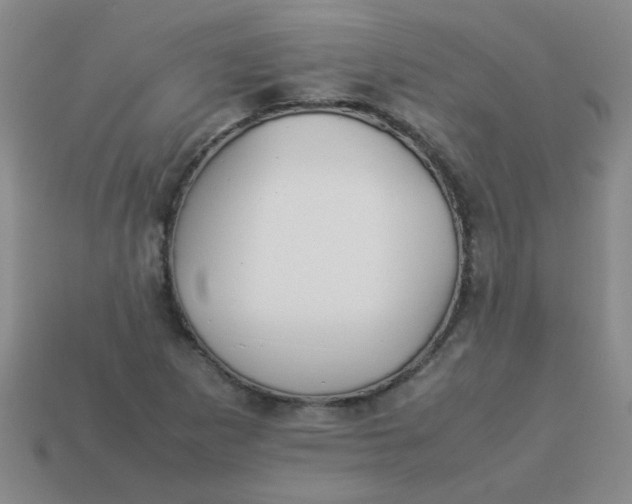 X0000113891265200910151327