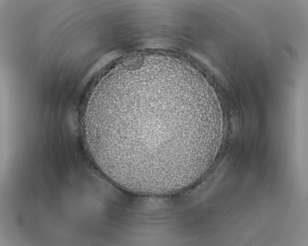 X0000113891266200910151327