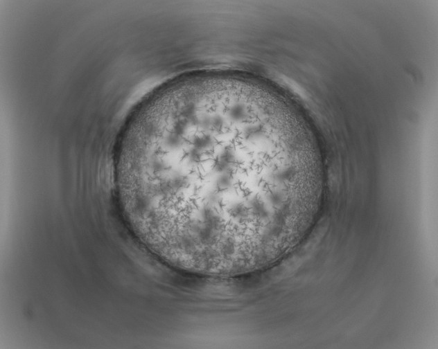 X0000113891267200910151327