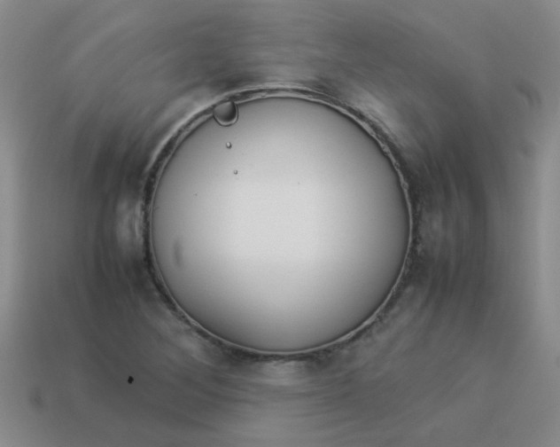 X0000113891268200910151327