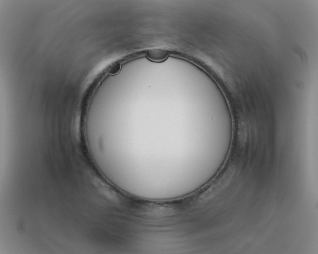 X0000113891270200910151327