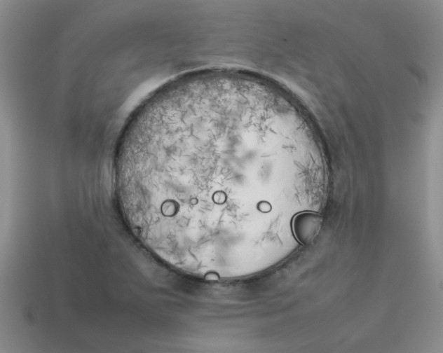 X0000113891271200910151327