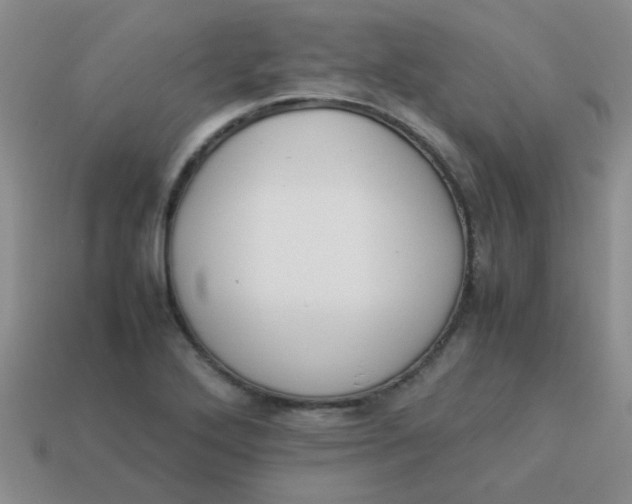 X0000113891272200910151327