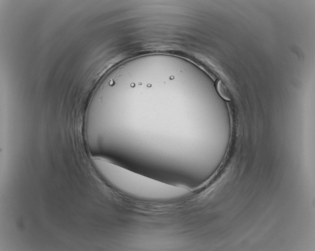 X0000113891273200910151327