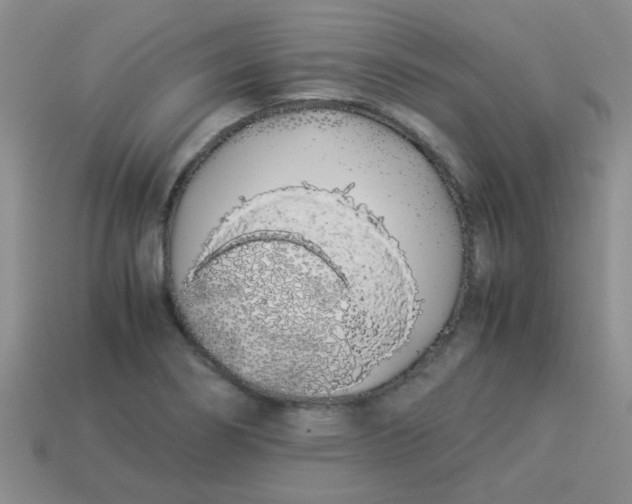 X0000113891274200910151327