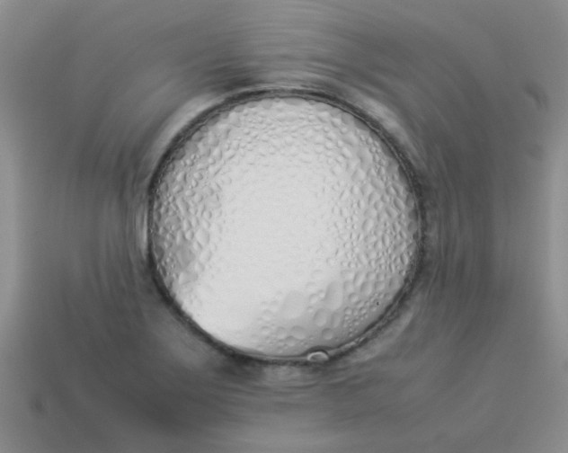 X0000113891275200910151327