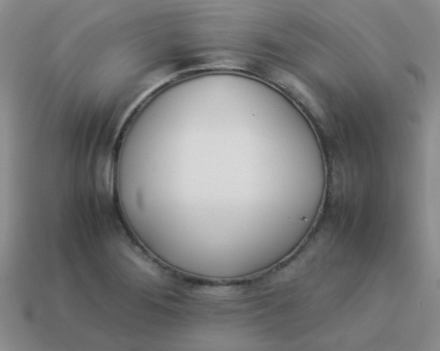 X0000113891276200910151327