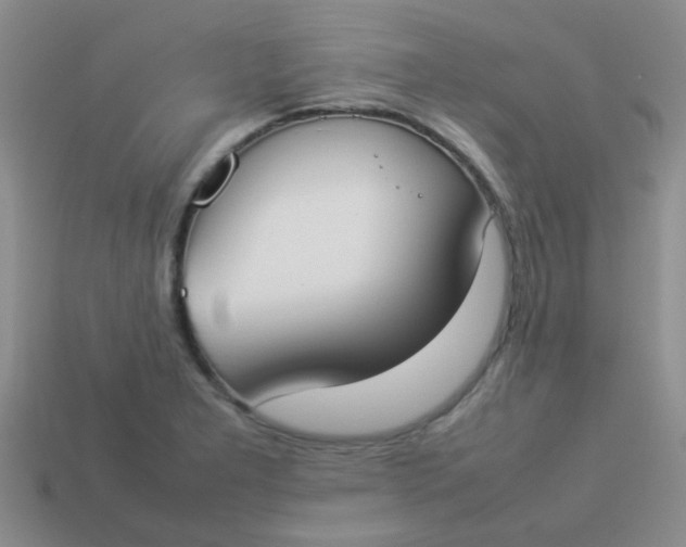 X0000113891277200910151327