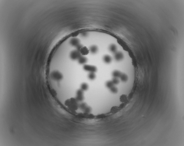 X0000113891278200910151327