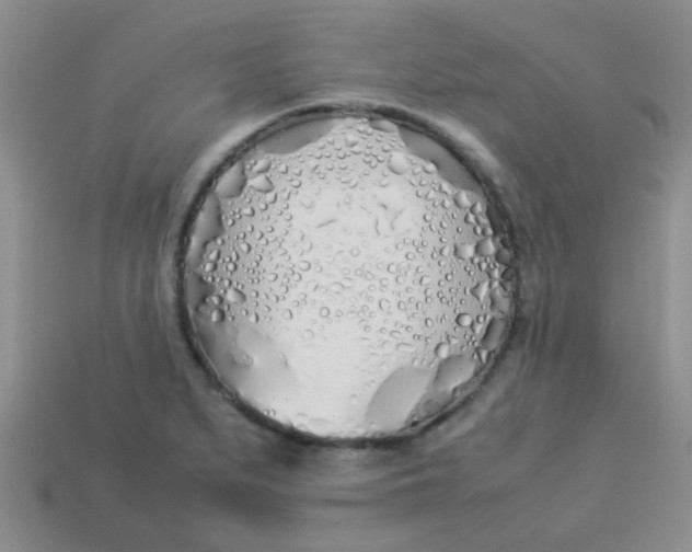 X0000113891279200910151327