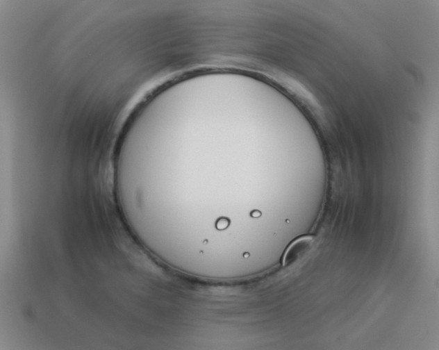 X0000113891280200910151326